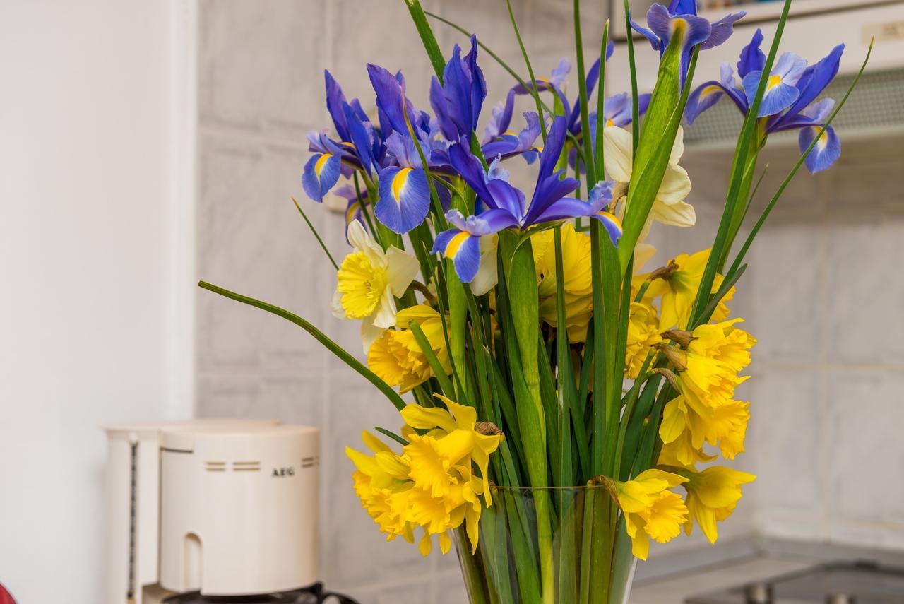 Simovic Old Town Apartment Dubrovnik